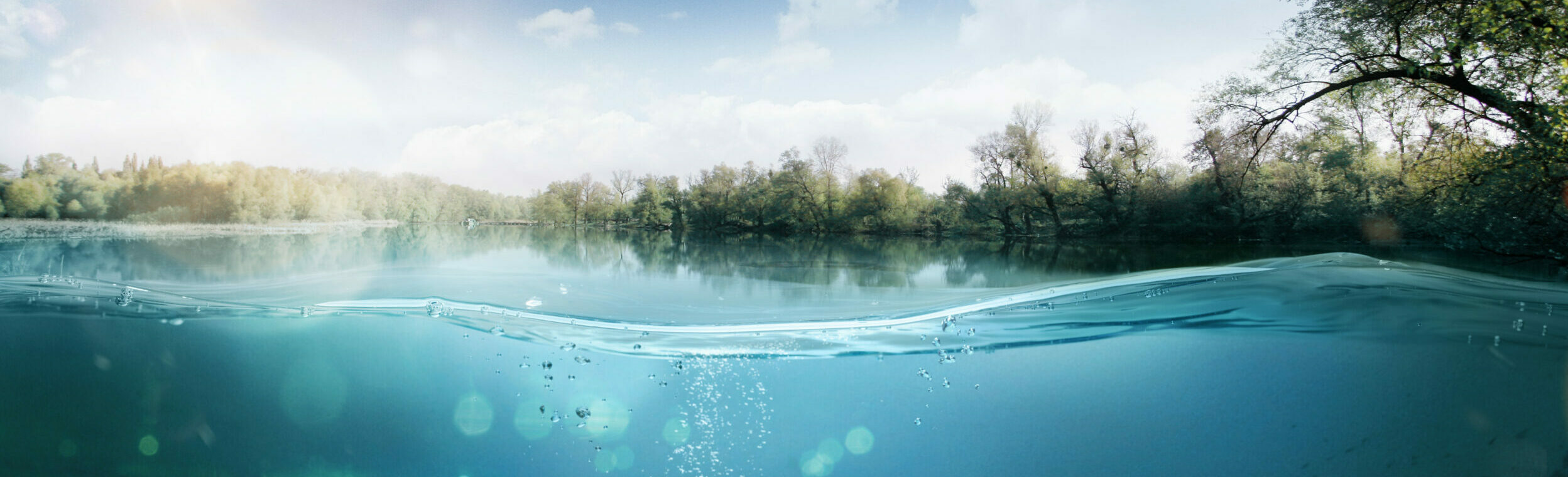 Underwater. Beautiful Lake Between The Green Banks